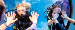 Dive Center © MD