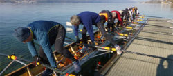 Boarding the rowing boat