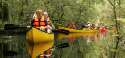 Canoeing for the first time / © pixabay.com - skeeze