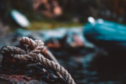 Copyright © Federico Burgalassi on Unsplash