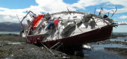 Curious cases of damage - Photo: © Pantaenius