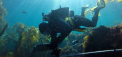 Foto: © Reef Check