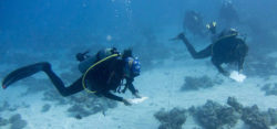 Foto: © Reef Check