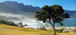 Foto: Küste von Südafrika