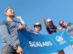 © SeaLabs