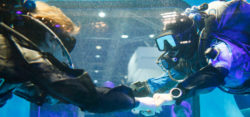 Diving after pregnancy / © MD, ctillmann