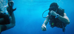 Diving after pregnancy / © pixabay