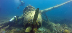 Foto: Airplane Wreck