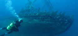 Foto: Wrack vor Kroatien
