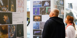 Get inspired in the Water Pixel World / Image: © MD, ctillmann