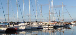 Photo: marina