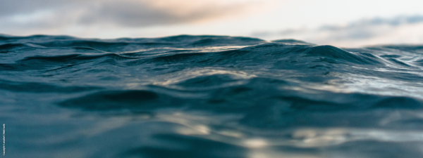 Copyright © Unsplash: Matt Hardy